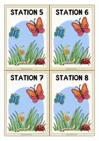 Vorschau - Bildkarten - INSEKTEN Stationskarten - Seite 3