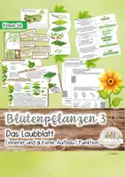 Vorschau - Stundenentwürfe - Das Laubblatt / Aufbau eines Laubblattes / Schichten des Laubblattes / Fotosynthese - Deckblatt