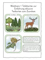 Vorschau - Arbeitsblätter - Materialpakt Waldtiere - Deckblatt
