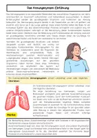 Vorschau - Arbeitsblätter - Das Atmungssystem – Lunge, Gasaustausch und Atmung - Seite 1