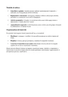 anteprima - Altro tipo di materiale - Dal sole alle stelle; un viaggio lungo un giorno alla scoperta delle parti della giornata - Pagina 3