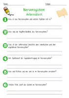 Vorschau - Arbeitsblätter - Nervensystem Arbeitsblatt (1) 7. & 8. Klasse Gehirn AB mit Lösungen - Seite 1