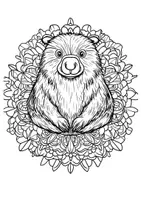 Vorschau - Arbeitsblätter - Kunst Biber Mandala Ausmalbilder Kunstidee Fensterbild Entspannung - Seite 3