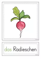 Vorschau - Bildkarten - Gemüse - Bild- und Wortkarten mit farbig markierten Artikel - Seite 3