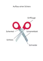 Vorschau - Arbeitsblätter - Scherenführerschein inkl. Schneideübungen und Zertifikat - Seite 3