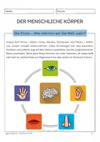 Vorschau - Unterrichtsreihen - Der menschliche Körper - Die Sinne - Seite 1