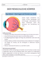 Vorschau - Unterrichtsreihen - Der menschliche Körper - Die Sinne - Seite 2