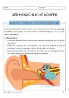 Vorschau - Unterrichtsreihen - Der menschliche Körper - Die Sinne - Seite 3