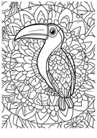 Vorschau - Arbeitsblätter - Mandala Tukan Ausmalbilder Kunst Kunstidee Fensterbild Zwischendurch - Seite 3