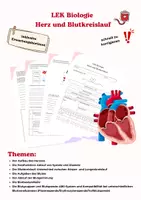 Vorschau - Klassenarbeiten - LEK -Herz, Blutkreislauf, Blutgruppen - Deckblatt
