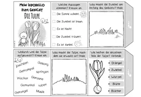 Vorschau - Arbeitsblätter - Leporello: Die Tulpe (Gedicht von Guggenmos) - Seite 1