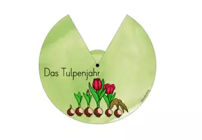 Vorschau - Mal- und Bastelvorlagen - Drehscheibe Tulpenjahr - Seite 3