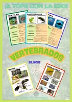Vista previa - Unidades / Secuencias / Situaciones de Aprendizaje - 1 ESO BIOLOGY VERTEBRATES - Portada