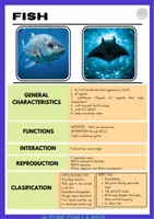 Vista previa - Unidades / Secuencias / Situaciones de Aprendizaje - 1 ESO BIOLOGY VERTEBRATES - página 3