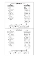 anteprima - Mappe concettuali - CLASSIFICAZIONE ANIMALI ANTEPRIMA - Pagina 2