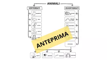 anteprima - Mappe concettuali - CLASSIFICAZIONE ANIMALI ANTEPRIMA - Pagina di copertina