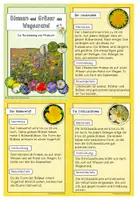 Vorschau - Text - Bestimmungskartei - Blumen und Gräser am Wegesrand - Seite 1