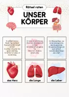 Vorschau - Quiz - Rätsel Körper | Organe Rätsel | Körperteile - Deckblatt