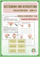 Vorschau - Arbeitsblätter - Materialpaket_Blütenpflanzen_NaWi - Seite 1