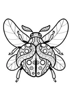 Vorschau - Mal- und Bastelvorlagen - Mandalas Thema Käfer/Marienkäfer - Grundschule - Bastelvorlagen - Seite 2
