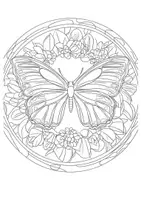 Vorschau - Arbeitsblätter - Mandala Schmetterling Ausmalbilder Kunst Kunstidee Fensterbild Zwischendurch - Seite 2