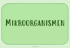 Vorschau - Arbeitsblätter - LERNTHEKE: MIKROORGANISMEN (+Rätsel + Quiz) - Seite 1
