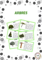 Vista previa - Tarjetas / Manipulativos - Arbres - Portada