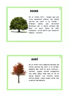 Vista previa - Tarjetas / Manipulativos - Arbres - página 2