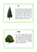 Vista previa - Tarjetas / Manipulativos - Arbres - página 3