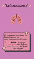 Προεπισκόπηση - Παρουσιάσεις - Πνεύμονες 🫁 - Εξώφυλλο