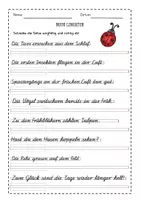 Vorschau - Arbeitsblätter - Neue Lineatur 3. Klasse, Schreibübung Schreibfertigkeit Schönschrift Frühling (Schriften: GS, VA, SAS) - Seite 2