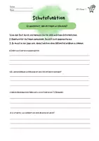 Vorschau - Arbeitsblätter - Funktionen von Kleidung. Infotexte & Arbeitsblätter (G&M Niveau) - Seite 2
