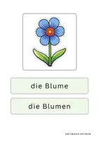 Vorschau - Fördermaterial/Inklusion - Frühling: Wort- und Bildkarten - Seite 3