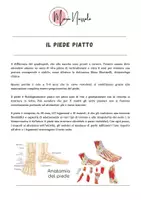 anteprima - Altro tipo di materiale - piede piatto: aspetti teorici - Pagina di copertina