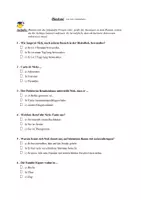 Vorschau - Test - Literatutest zu "Blackout" von Alice Gabathuler - Seite 2