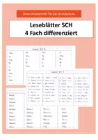 Vorschau - Arbeitsblätter - Materialpaket- CH/SCH - Seite 1