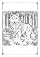 Vorschau - Mal- und Bastelvorlagen - Waldtiere Ausmalbilder - Seite 3