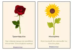 Προεπισκόπηση - Flashcards - Τα λουλούδια - Teacher's Little Tales - Σελίδα 3