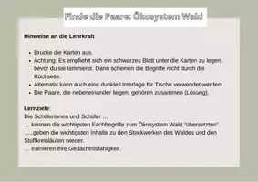 Vorschau - Spiele - Finde die Paare: Ein Spiel zum Ökosystem Wald - Seite 1