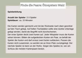 Vorschau - Spiele - Finde die Paare: Ein Spiel zum Ökosystem Wald - Seite 2