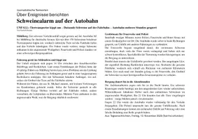Vorschau - Arbeitsblätter - Zeitungsbericht am Beispiel analysieren - Seite 3