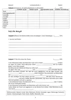 Vorschau - Klassenarbeiten - Lernkontrolle: Einführung in das Fach & Steinzeit - Seite 1