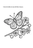 anteprima - Altro tipo di materiale - Storia Il Sussurro della Primavera - Pagina 1