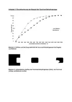 Vorschau - Arbeitsblätter - Klausur zur Substratspezifität und allos. Hemmung - Seite 3