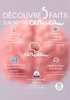 Aperçu - Affichage - Affiche - Découvre 5 faits sur le cerveau - Coach ton cerveau - Page 1