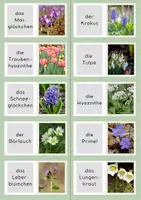 Vorschau - Spiele - Frühblüher Domino | Lernspiel Frühling Blumen - Seite 3