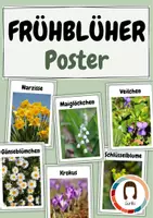 Vorschau - Poster - Poster/Tafelmaterial Frühblüher - Deckblatt