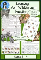 Vorschau - Arbeitsblätter - Materialpaket: Lesewege zu Tieren (Igel, Marienkäfer, Eichhörnchen, Schmetterling, Biene), Lesetraining, Leseverständnis - Seite 1