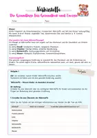 Vorschau - Arbeitsblätter - Nährstoffe - warum sie für Kinder wichtig sind! - ARBEITSBLATT mit Lösung - Seite 3