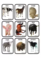 Vista previa - Tarjetas / Manipulativos - JUEGO FLASH CARDS DE ANIMALES - página 3